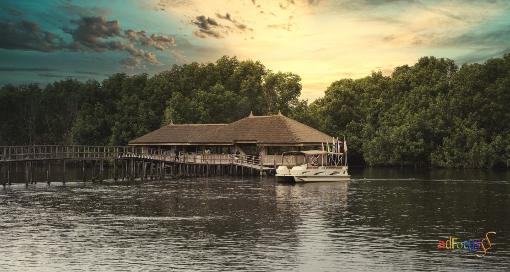 Mangrove Sunset — Landscape photography at the water's edge